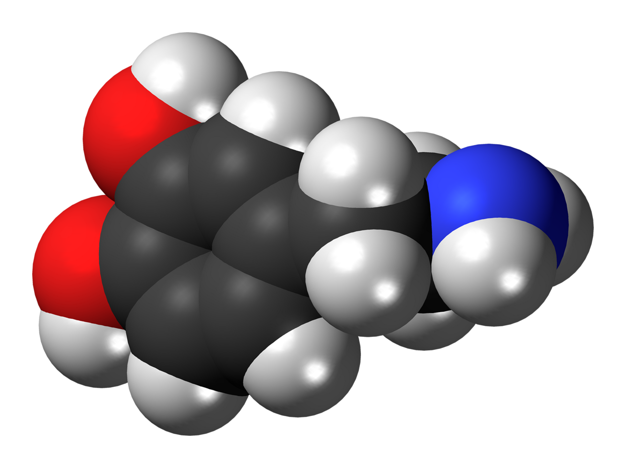 The dopamine molecule — the reward hormone