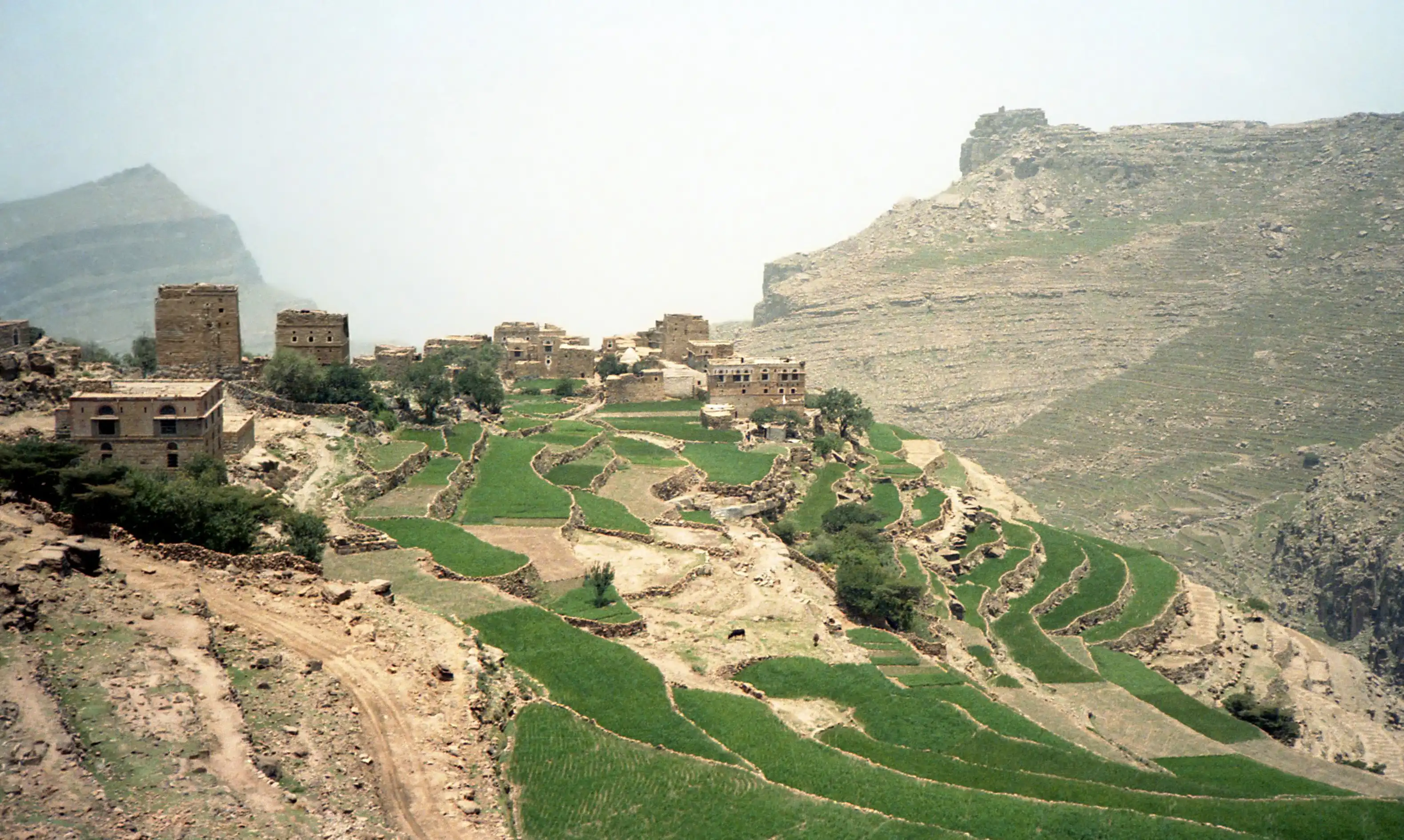 Traditional terraced agriculture in the Yemeni highlands — similar to Hamdan's landscape